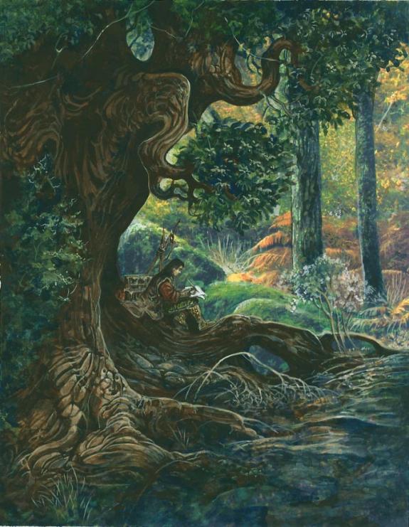 S&eacute;verine Pineaux - Ysambre, dessinateur sous arbre