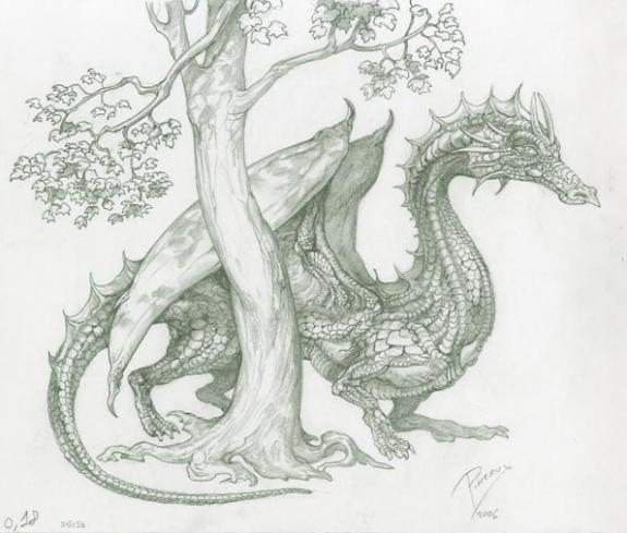 S&eacute;verine Pineaux - Les dragons : petit trait&eacute; de sciences na