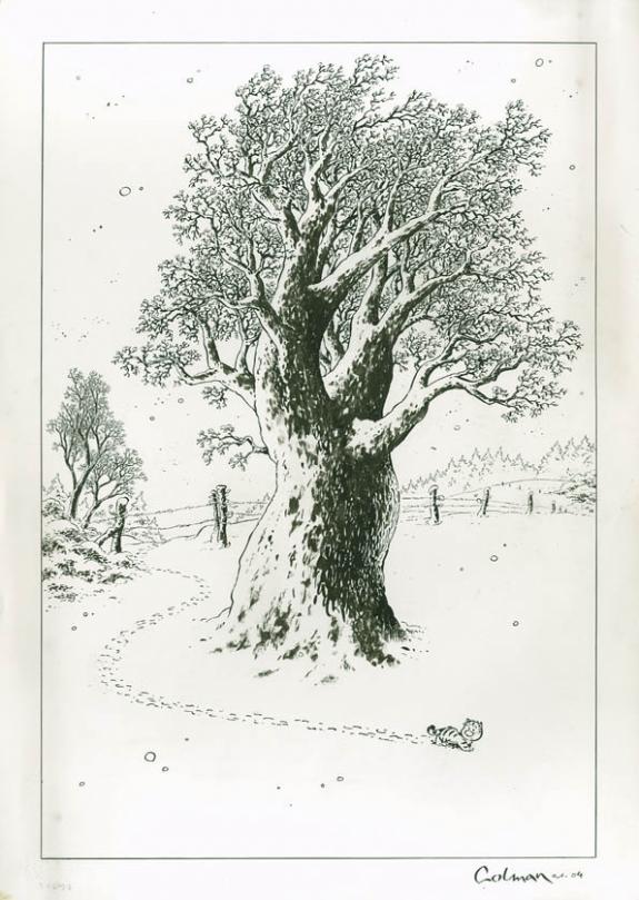 Stephan Colman - Billy the Cat, Billy dans la neige avec gro