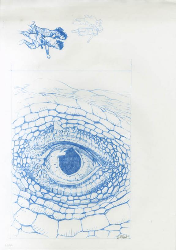 Vincent Dutrait - oeil dragon
