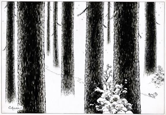 Stephan Colman - Billy the Cat, Billy dans la for&ecirc;t