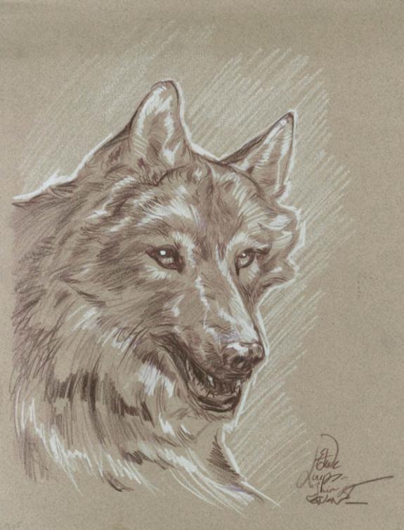 Gwendal Lemercier - &Eacute;tude loup in&eacute;dit