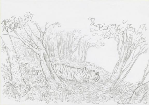 Federico Bertolucci - Love, Le Tigre, tigre qui guette