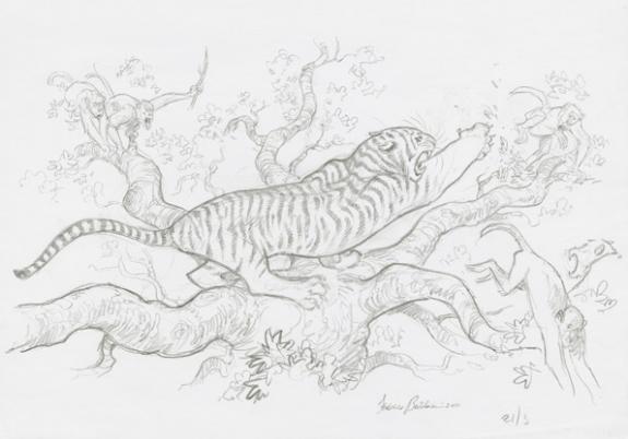 Federico Bertolucci - Love, Le Tigre, combat dans les hauteu