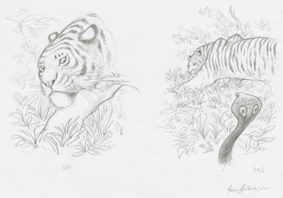 Federico Bertolucci - Love, Le Tigre, tigre et naja