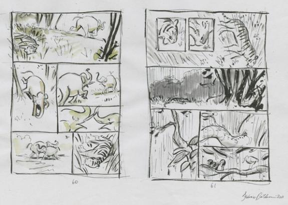 Federico Bertolucci - Love, Le Tigre, story board tigre et &eacute;
