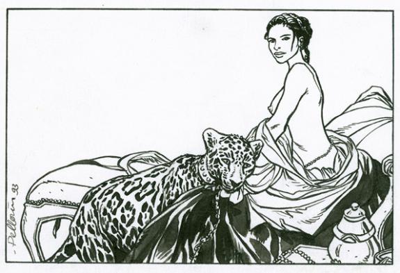 Patrice Pellerin - L'&eacute;pervier, femme et panth&egrave;re
