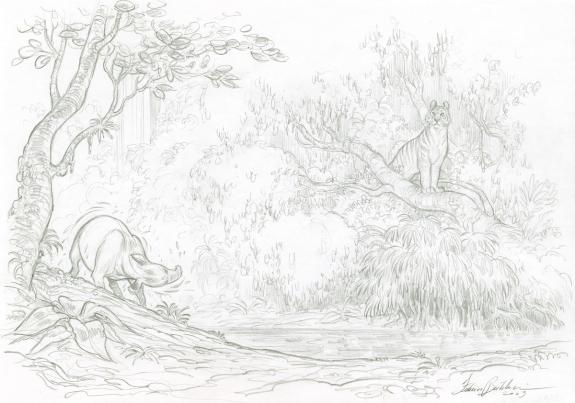 Federico Bertolucci - Love, Le Tigre, dessin in&eacute;dit
