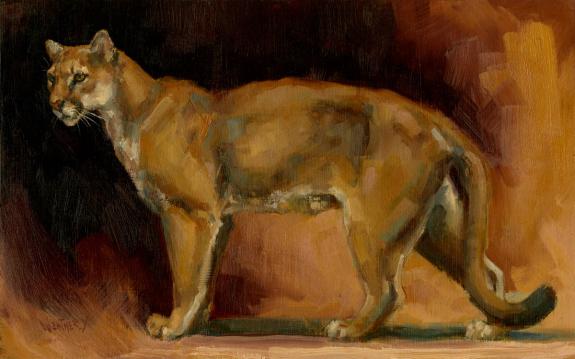 Joe Weatherly - Illustration originale - "puma"