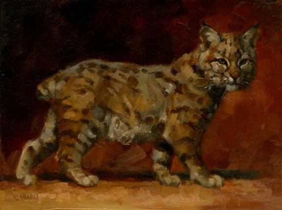 Joe Weatherly - Illustration originale - "bobcat"