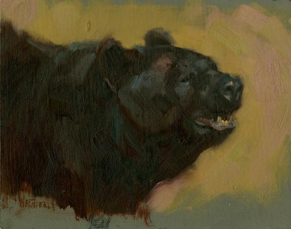 Joe Weatherly - Illustration originale - "ours noir"