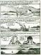 Edmond Baudoin - Le chant des baleines, p18 + planche couleu