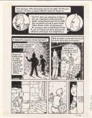 Didier Savard - Tintin, Objectif monde, p19