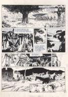 R&eacute;gis Penet - Fleurs carnivores, El macho, p33