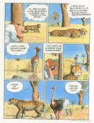 Das Pastoras - Kafre, le leopard - el jueves 900 p26