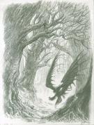 Gwendal Lemercier - Dragons, ombre dragon for&ecirc;t