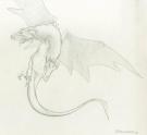 Bruno Brucero - Le livre secret de Merlin, dragon ailes gris