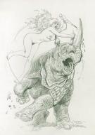 Esteban Maroto - fem attaque rhino