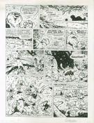 Stephan Colman - Billy the Cat, L'oeil du ma&icirc;tre, p41