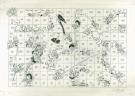 Stephan Colman - Billy the Cat, Dans la peau d'un chat, Page
