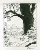 Stephan Colman - Billy the Cat, Billy dans la for&ecirc;t
