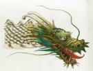 Philippe Henri Turin - Tendre dragon, T&ecirc;te de dragon