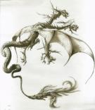 Philippe Henri Turin - Tendre dragon, Dragons volent