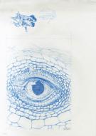 Vincent Dutrait - oeil dragon