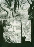 Yves Swolfs - L&eacute;gende, L'enfant loup, p16