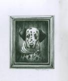 Benjamin Lacombe - Destin de chiens, Dalmatien portrait + ru