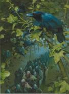 Guillermo Gonzalez - L'Univers des Nains, Arm&eacute;e dans la for&ecirc;