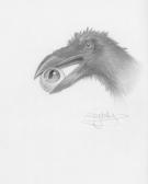 Paul Kidby - Disque Monde: Quoth the Raven