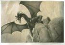 Andr&eacute;&iuml; Arinouchkine - Dragon