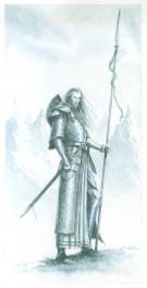 Karl Kopinski - Warhammer, Hi elf