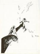 Claire Wendling - Les lumi&egrave;res de l'Amalou, Gouals, Couvertu