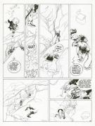 Claire Wendling - Les lumi&egrave;res de l'Amalou, Gouals, Planche 