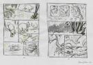Federico Bertolucci - Love, Le Tigre, story board tigre et &eacute;