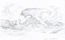 Federico Bertolucci - Love, Le Tigre, tigre combat des panth