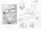 Federico Bertolucci - Love, Le Tigre, storyboard et recherch