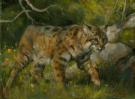 Joe Weatherly - Illustration originale - "prowling around"