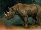 Joe Weatherly - Illustration originale - "hook-lipped rhino"