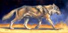 Joe Weatherly - Illustration originale - "mexican red wolf"