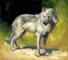 Joe Weatherly - Illustration originale - "white wolf"
