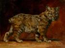 Joe Weatherly - Illustration originale - "bobcat"