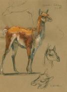 Joe Weatherly - Illustration originale