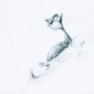 Chris Ayers - Daily Zoo, Illustration originale - Day 1763 -