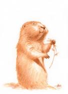 Chris Ayers - Daily Zoo, Illustration originale - Day 1775 -