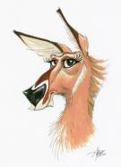 Chris Ayers - Daily Zoo, illustration originale - Lechwe