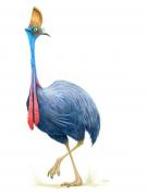Chris Ayers - Daily Zoo, illustration originale - day 2102