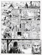 Yves Swolfs - Le Prince de la nuit, Le chasseur, planche ori